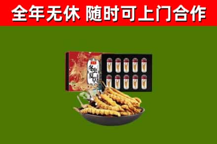 孝南回收冬虫夏草价格