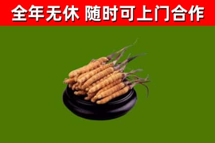孝南烟酒回收冬虫夏草.jpg